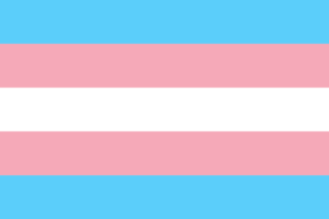 Read more about the article 什麼是跨性別？跨性別者不只曾愷芯老師與丹麥女孩
